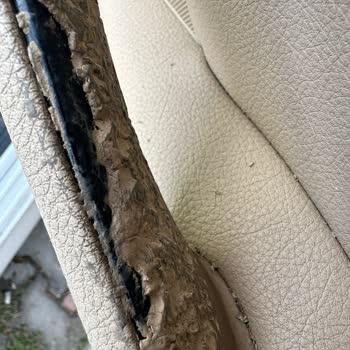 BMW 5.20i Kapı Kollarında Yapışkanlık Ve Erime Sorunu, Çocuk Sağlığına Tehdit