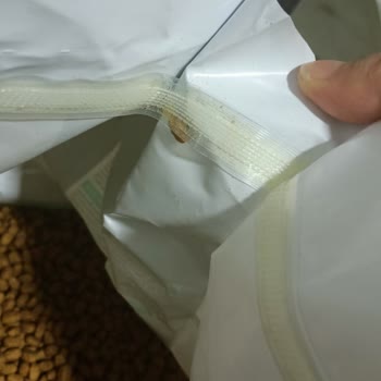 Trendyol'dan Alınan Pro Plan Kedi Mamasında Sahte Ürün Şüphesi