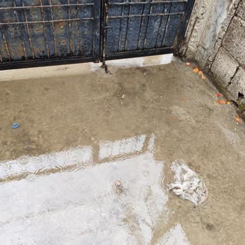 Elektrik Direği Hatası Yüzünden Evime Su Doluyor, Çözüm Bekliyorum