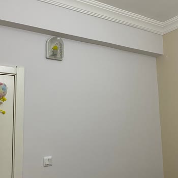 Marshall İç Cephe Boyasında Renk Tutmama Ve Koyu Renk Sorunu