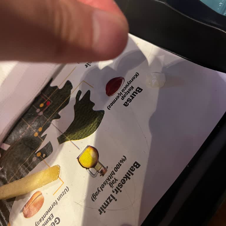 Patates Kızartmasında Kıl Çıkması Nedeniyle Yaşanan Hijyen Sorunu