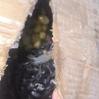 Sürat Kargo İle Gıda Ürünlerim Bozuldu, Çözüm Sunulmadı