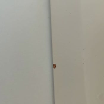 Sürekli Tekrar Eden Hatalar Ve Kalitesiz Ürünlerle Mağduriyet