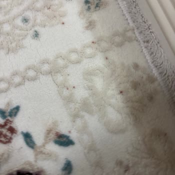 Özenir Halı & Koltuk Yıkama Yanılttı