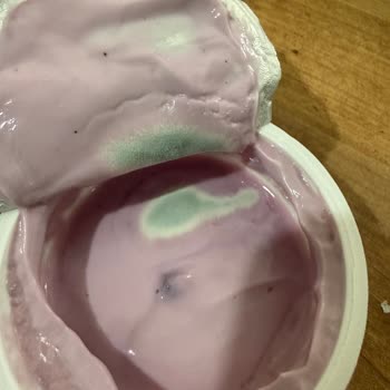 Son Kullanma Tarihi Geçmemiş Ürün Küflü Çıktı, İade Talebim Var