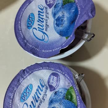 Dost Meyveli Yoğurt Bozuk Çıktı, Değişim Talebi