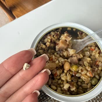 Ton Balığı Kutusundan Çıkan Taş Büyük Sağlık Riski Yarattı