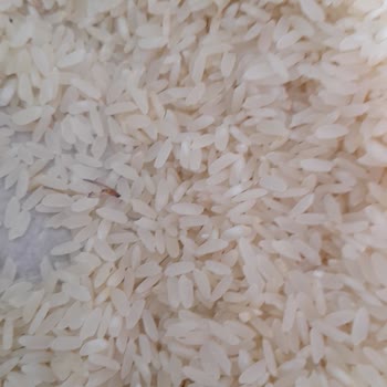 Aldığım Pirinçte Kurt Ve Kelebek Sorunu: Sağlığımız Tehlikede