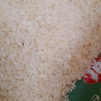 Aldığım Pirinçte Kurt Ve Kelebek Sorunu: Sağlığımız Tehlikede