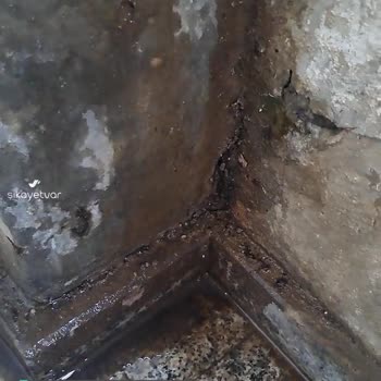 İstanbul Büyükşehir Belediyesi Lavabo Gideri Ve Rögar Aynı Seviyede