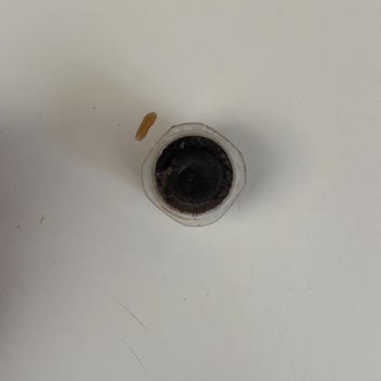 Kapsül Kahve Temin Edilememesi Nedeniyle Kullanılamayan Kahve Makinesi Ve Yetersiz Müşteri Desteği