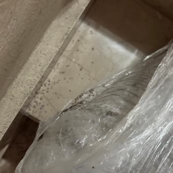 Hasarlı Kargo Apartmana Bırakıldı, Tutanak Tutulmadı Ve İade Talebim Var