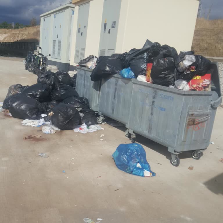 Okulda Düzenli Toplanmayan Çöpler Sağlık Ve Hijyen Sorununa Yol Açıyor