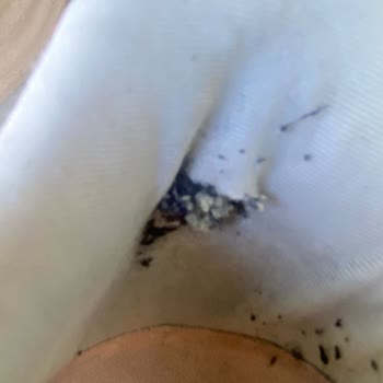 Yeni Alınan Ayakkabı Kısa Sürede Yırtıldı Değişim Ve İade Talebim Reddedildi