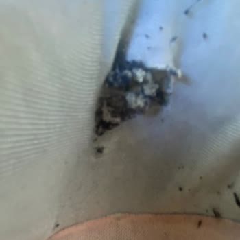 Yeni Alınan Ayakkabı Kısa Sürede Yırtıldı Değişim Ve İade Talebim Reddedildi