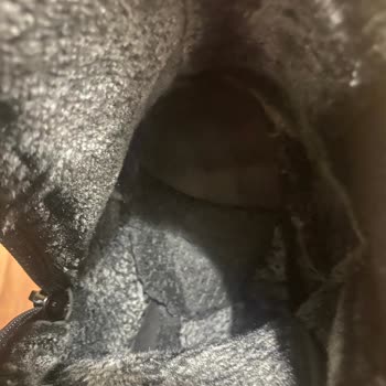 Bir Haftada Deforme Olan Bot Mağduriyeti