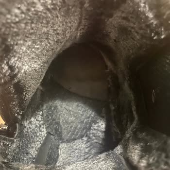 Bir Haftada Deforme Olan Bot Mağduriyeti