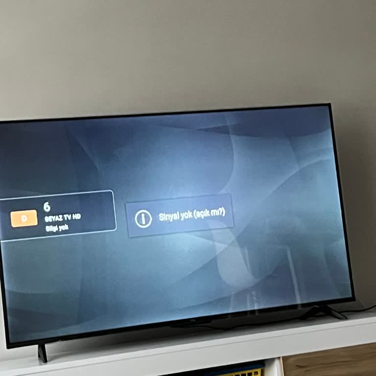 TCL 55V6A Televizyonda Sürekli Sinyal Sorunu Ve Kanal Problemleri