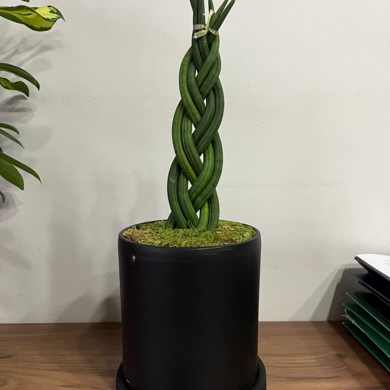 Yanlış Ürün Gönderildi, Çözüm İçin Müşteriye Ek Yük Yüklendi