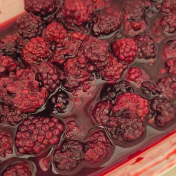 Ezilmiş Ve Bozuk Meyveler, İlgisiz Müşteri Hizmeti