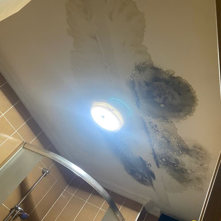 Sigorta Süreci Mağduriyeti: Sorun Çözülmedi, Evim Zarar Gördü