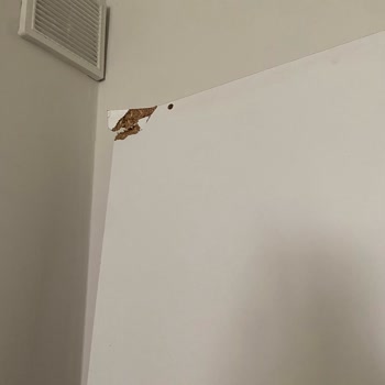 Kırık Gelen Gardırop İçin Değişim Veya İade Yapılmıyor, Mağduriyet Yaşıyorum