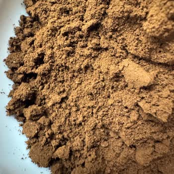 Kahve Ürününde Böcek ve Kalite Problemi