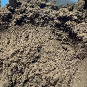 Kahve Ürününde Böcek ve Kalite Problemi