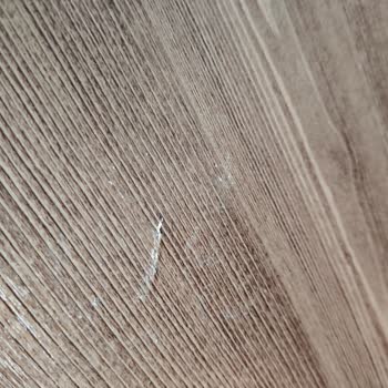 Evidea'dan Aldığım Ürünlerde Sürekli Arıza Ve Çözüm Eksikliği