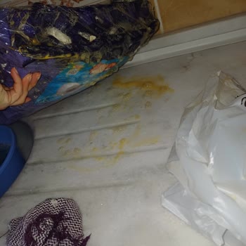 Kırık Yumurta Teslimatı Ve İade Talebimin Reddedilmesi