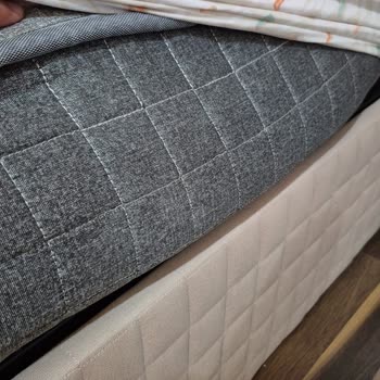 Vivense Pişmanlıktır!