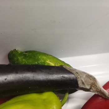 Bosch Buzdolabında Sürekli Bozulma Ve Değişim Talebine Çözüm Bulunmuyor