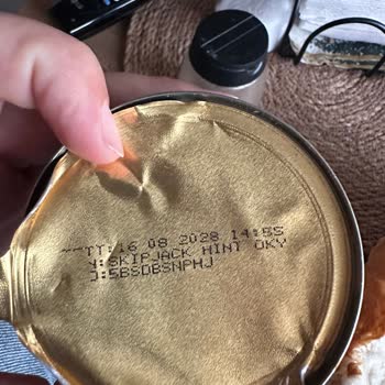 Dardanel Ton Balığında Kılçık Çıkması Ve Güven Sorunu