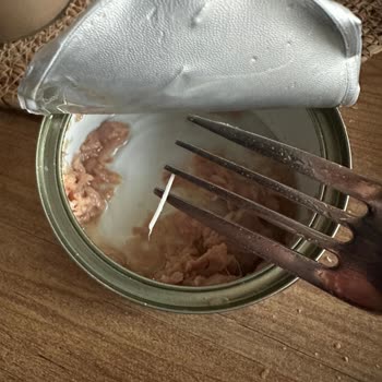 Dardanel Ton Balığında Kılçık Çıkması Ve Güven Sorunu