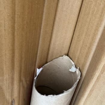 Hasarlı Ürün Teslimatı Ve Red Edilen Tanzim Talebi Sonrası Mağduriyet