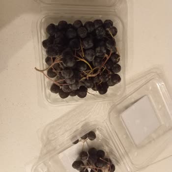 Migros İskenderun Şubesinden Aldığım Ürünler Sürekli Bozuk Çıkıyor