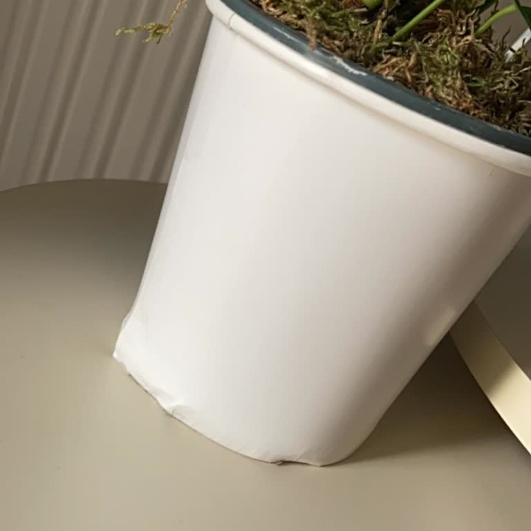 Siparişim Eksik Ve Yanlış Gönderildi, Mağdur Edildim