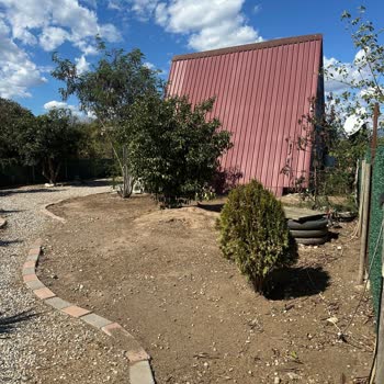 Maviyaprakbungalov Şikayeti