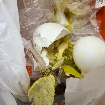 BİM’den Aldığım Yumurtalar Bozuk Ve Kötü Kokulu Çıktı, Mağdur Oldum