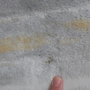 Halılar Temizlenmeden Teslim Edildi, Firma Kaba Davrandı Ve Çözüm Sunmadı