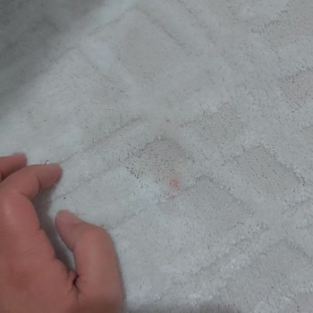 Halılar Temizlenmeden Teslim Edildi, Firma Kaba Davrandı Ve Çözüm Sunmadı