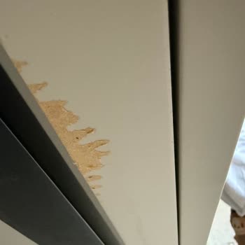 Teslimat Gecikmesi Ve Kusurlu Ürünler Nedeniyle Mağduriyet