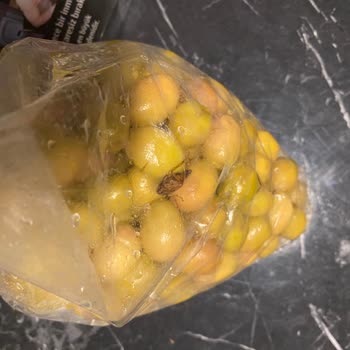 Zeytin Paketinden Böcek Çıktı: Sağlığımız Tehlikede!