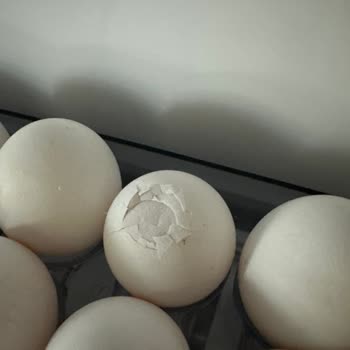 Siparişimde Olgunlaşmamış Muz Ve Kırık Yumurta Sorunu