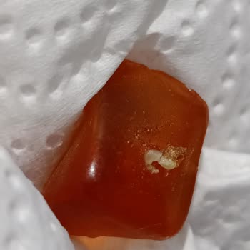 Aldığım Jelibonun İçinden Kurt Çıktı!