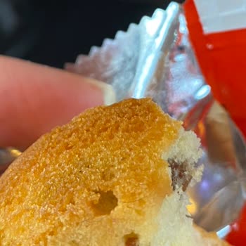 Eti Meyveli Kekten Saç Çıkması Nedeniyle Hijyen Kaygısı