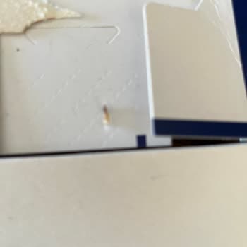 Barilla Makarna Paketinden Böcek Çıktı, Geri Dönüş Yapılmıyor