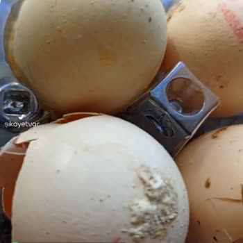 Tarım Kredi Kooperatif Market Art Organik Bozuk Yumurta!