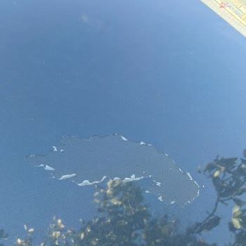 Servis Onarımında Tekrarlayan Boya Sorunu ve İlgisizlik Şikayeti