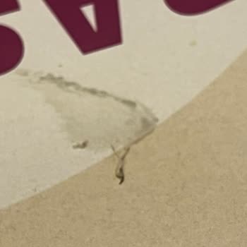 Pişmemiş Tavuk, Kıl Ve Çürük Yeşillik Nedeniyle Hijyen Sorunu Ve İade Talebi